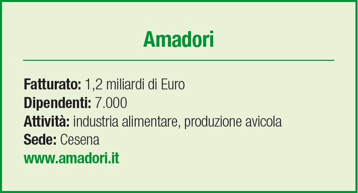 Amadori - scheda azienda