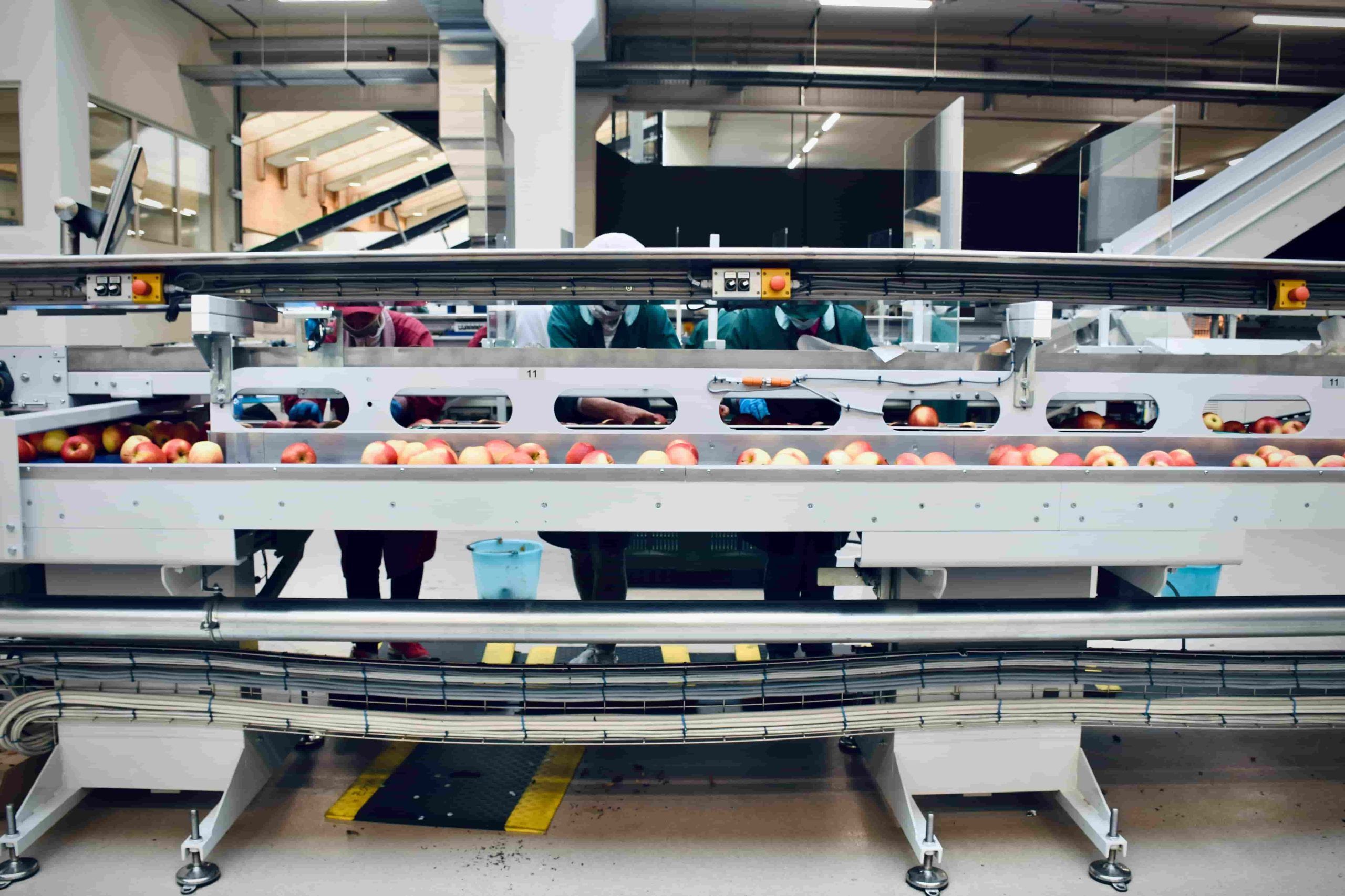 IndustriaAlimentareParma